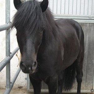 Ich stelle eines meine Bilder vor :)