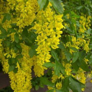 Meine ersten Gehversuche!