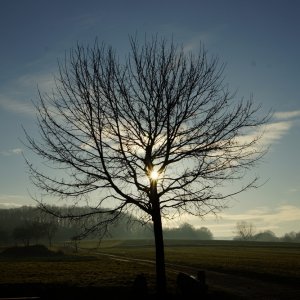 Dutenhofen - ein Winternachmittag