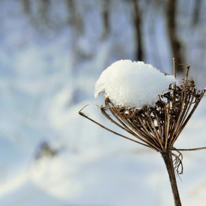 Es gibt noch den Winter