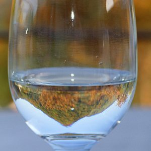 Ein Glass voller Natur