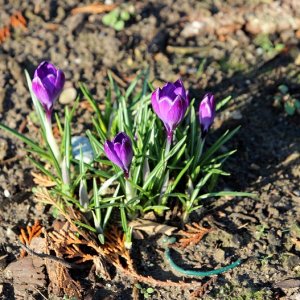 Der Frühling ist da.