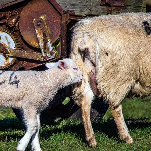 technik ist vergänglich....
