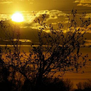 Abendstimmung im Alten Land